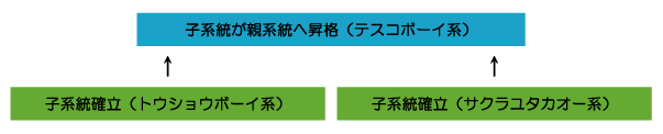 親系統の確立条件A ウイニングポスト7攻略