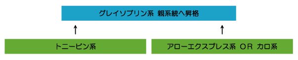 グレイソブリン系 ウイニングポスト7攻略(2013/2012/2010/2008対応)